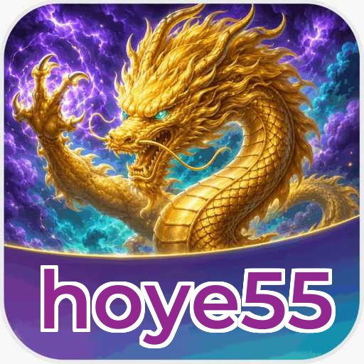 Troubleshooting hoye55